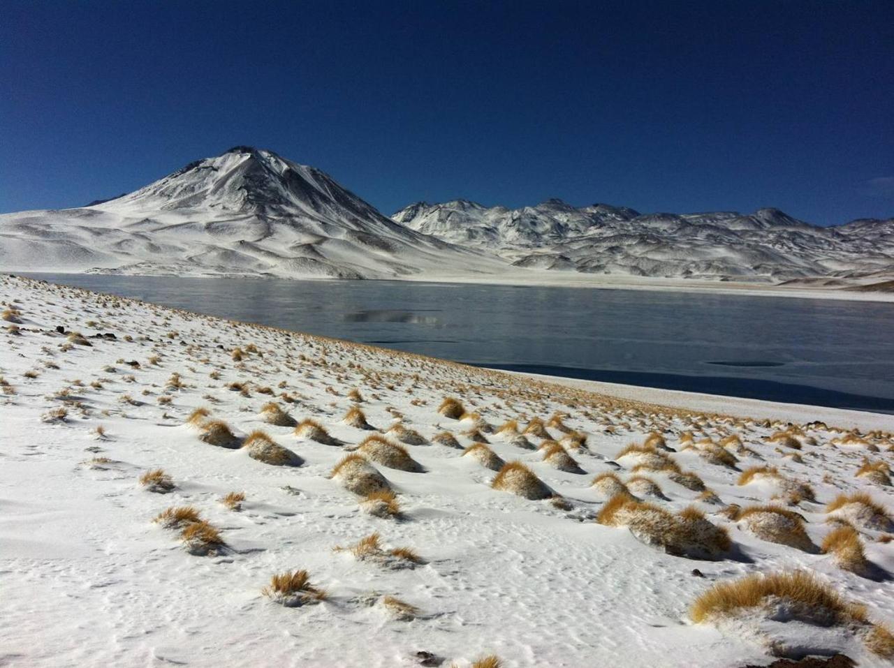 Cota6000 Dpto B Leilighet San Pedro de Atacama Eksteriør bilde