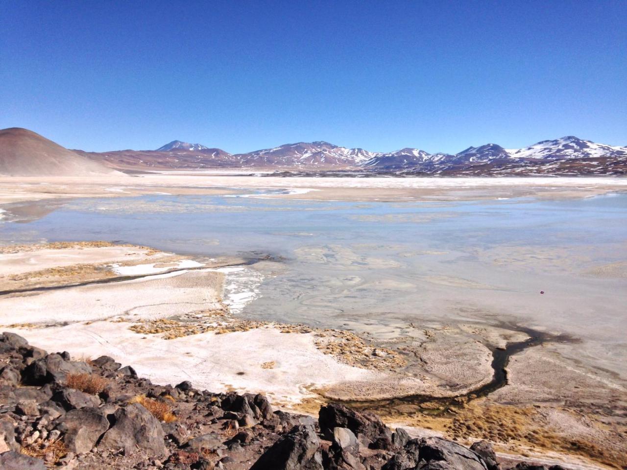 Cota6000 Dpto B Leilighet San Pedro de Atacama Eksteriør bilde